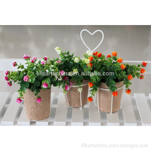 mini flower plant, 18cm paper potted flower with hob